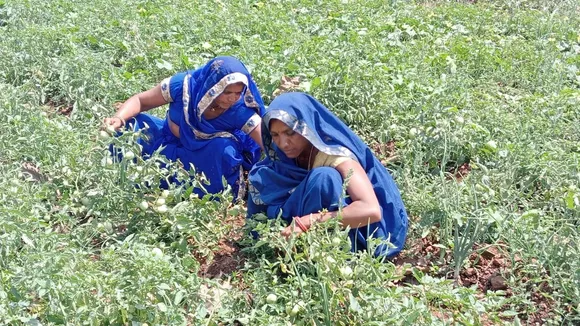 SHG kisan didi drone pilot