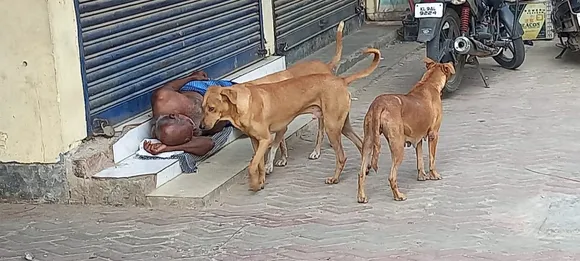 ജീവനുണ്ടോ ! കടവരാന്തയിൽ ഉച്ചയുറക്കം നടത്തുന്ന വയോധികനെ മണത്തു നോക്കുന്ന തെരുവുനായ കൗതുകമായി