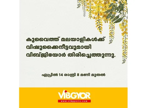 വിബ്ജിയോർ വീണ്ടും പ്രവർത്തനം പുനരാരംഭിക്കുന്നു