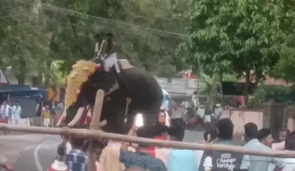 കുഴൽമന്ദം വിഷുവേലക്കിടെ ആനയിടഞ്ഞു ;ആനപ്പുറത്ത് തിടമ്പേറ്റിയ രണ്ടുപേർ അത്ഭുതകരമായി രക്ഷപ്പെട്ടു