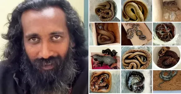 സിഐഡി ഫോറസ്റ്റ് സെല്‍ നടത്തിയ പരിശോധനയില്‍ യുവാവിന്റെ വീട്ടില്‍ നിന്ന് കണ്ടെത്തിയത് വിഷപ്പാമ്പുകളെയും കാട്ടുപൂച്ചകളെയും