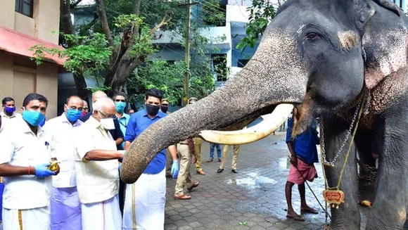 കോവിഡ് പശ്ചാതലം; സംസ്ഥാന സർക്കാർ ആനകൾ ഉൾപ്പെടെയുള്ള വളർത്തു മൃഗങ്ങൾക്ക് ഖരാഹാരം നല്കുന്ന പദ്ധതിയുടെ ജില്ല തല ഉദ്ഘാടനം മന്ത്രി കെ.കൃഷ്ണൻകുട്ടി നിർവ്വഹിച്ചു