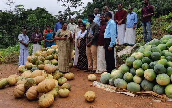 കുളിരണിയിക്കും കാഴ്ചകളുമായി രവിയുടെ തനതു കൃഷി രീതി. ഉത്സവമായി കരിമ്പയിൽ പച്ചക്കറി വിളവെടുപ്പ്