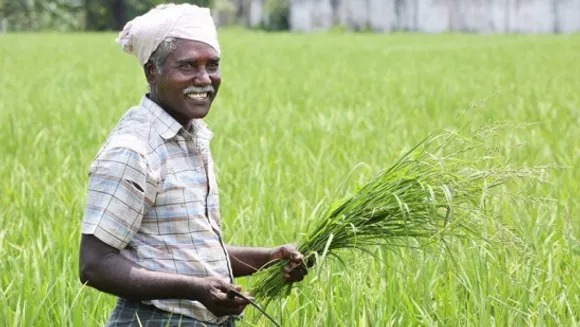 കോവിഡ് ധനസഹായം: കർഷകത്തൊഴിലാളികൾക്ക് ഓൺലൈനായി അപേക്ഷിക്കാം