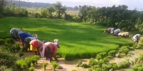 മാനവ സംസ്‌കാരത്ത അങ്ങേയറ്റം സ്വാധീനിക്കേണ്ട വികാരമാണ് കൃഷി. കൃഷിക്കാരനെ മാനിച്ചില്ലെങ്കിൽ വലിയ വില കൊടുക്കേണ്ടി വരും... (പ്രതികരണം)