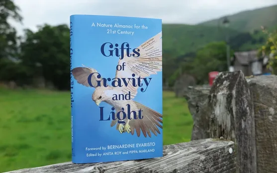 In Gifts of Gravity And Light, Some Emotional Lessons Through Nature