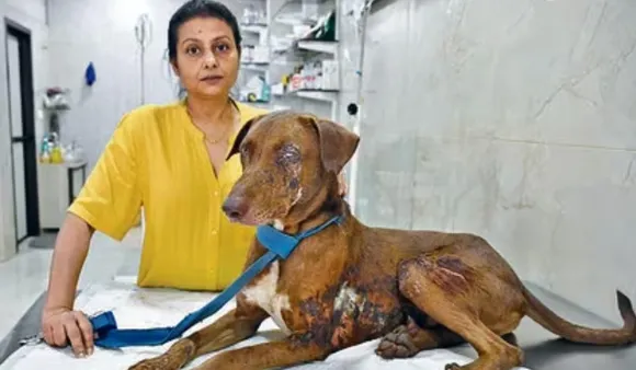 Actor Jaya Bhattacharya Saves Dog From Acid Attack; Stray Loses Eye