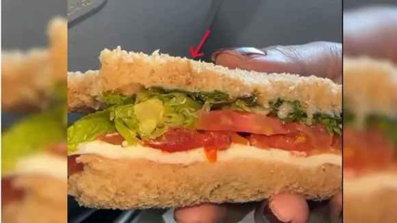 WATCH: Woman Finds Worm In Her Sandwich On Flight, Airline Apologises