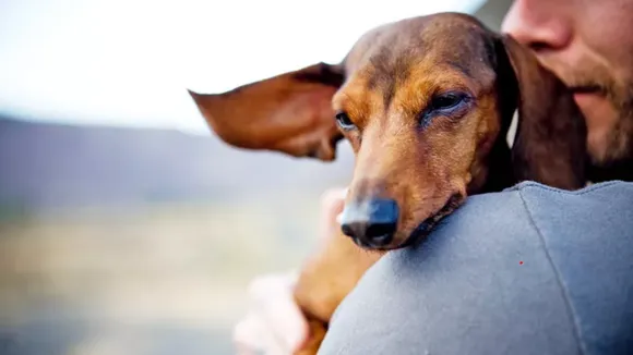 Three Pet Parents Bid The Most Emotional Adieu To Their Pets