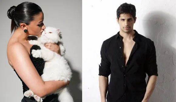 What Is Alia Bhatt's 'Cat Connection' With Her Ex? Read Here To Know
