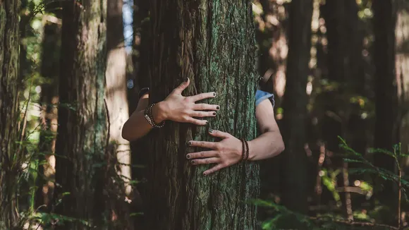 Just Bengaluru Things: City Dwellers Bark At 'Forest Bathing' Price