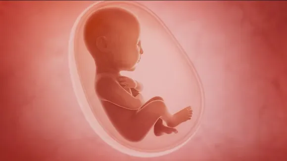 B'Luru Female Foeticide: Doctor Who Aborted 22-Week-Old Foetus Held
