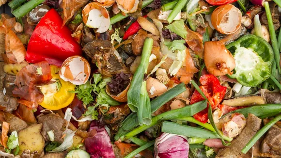 Earth Day: 4 Effective Strategies To Reduce Household Food Waste