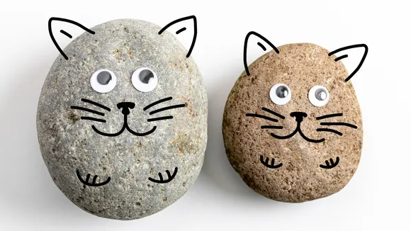 Are Rocks The New Pets? Why Some South Koreans Believe So