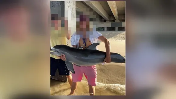 Teen Pulls Out Dolphin From Water For Pic; Slammed After It Dies