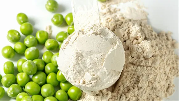 Explained: What Is Pea Protein Isolate?