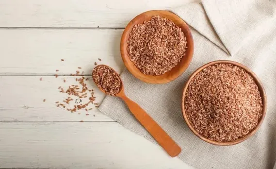 How Is Brown Rice Protein Different From Other Plant Proteins?