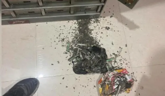 UP Woman Loses Rs 18 Lakh Cash Saved In Bank Locker To Termites
