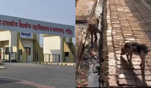 37 Die In 4 Days At Nanded Govt Hospital: Pigs And Dirt Seen On Site