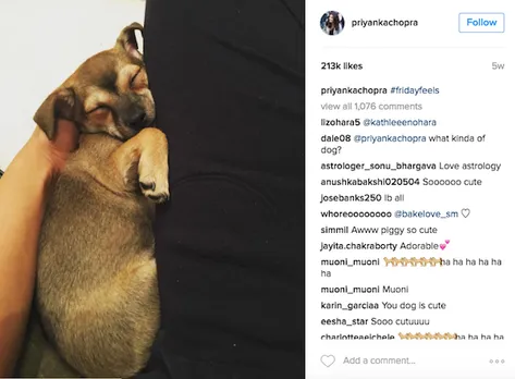 Priyanka Chopra with her new pup Diana
