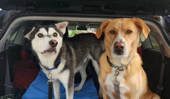 US Family Adopts Dog With Facial Deformity