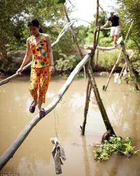 Monkey Bridge