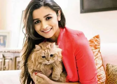 Alia Bhatt with her pet cat Pikka