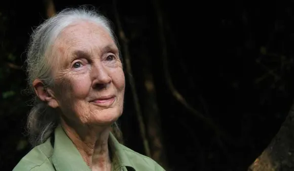 Jane Goodall Is Right. It Doesn’t Take Much To Be Considered A Difficult Woman At All