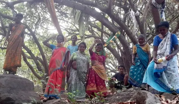 andhra pradesh women cashew crop protest