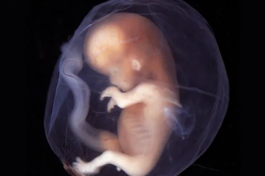 Is Human Embryo Modification Here? China's Failed Experiment Proves Not