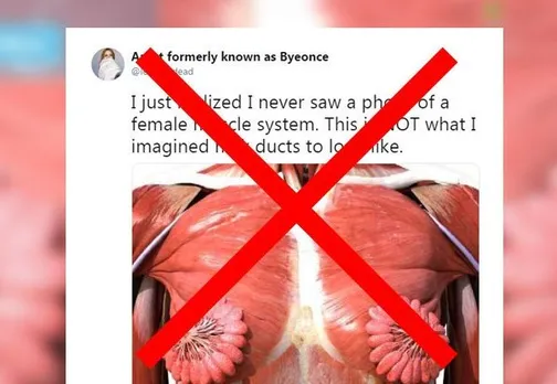 The Viral Picture Of A Woman's Breast Structure Is Misleading