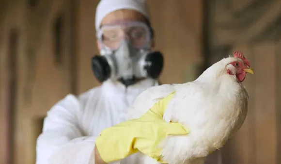 Russia Detects First Case Of H5N8 Avian Flu In Humans