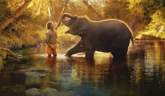 Tamil Documentary 'The Elephant Whisperers' Releasing Soon On OTT