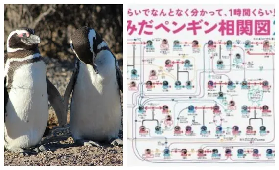 Learning From Penguins: Embracing Queerness In A Heteronormative World