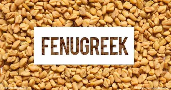 Methi or Fenugreek Benefits : Why It's A Powerful Medicine In Your Kitchen
