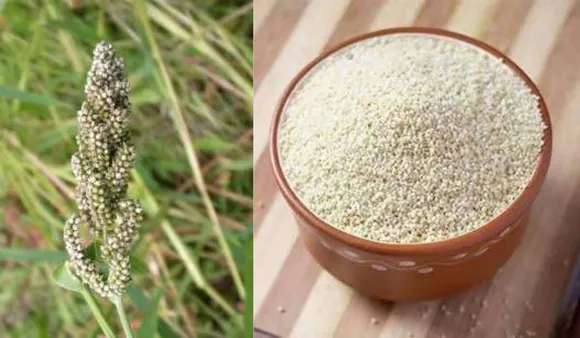 Why You Should Include Barnyard Millet Or Samak Ke Chawal In Your Diet