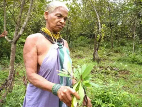 Environmentalist Tulasi Gowda Changed Landscape Of Her Village One Sapling At A Time