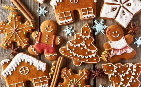 celebrate festivals, Christmas Holidays And Family Conflict, Woman Returns Holiday Display