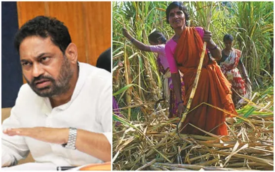 Minister Nitin Raut Writes To CM On Beed Hysterectomies In Maharashtra