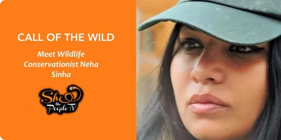 Experiencing the 'wild' side of life:  Wildlife Conservationist Neha Sinha