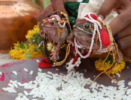 Frog Wedding! Can Ministers Please Stop Endorsing Superstitions?