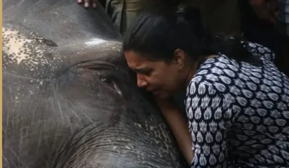 Elephant Lakshmi In Puducherry Passes Away