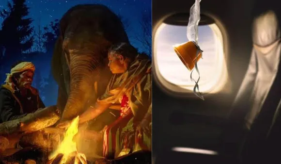 Elephant Whisperers To MH370: 7 Documentaries Released In 2023 We Are Loving So Far
