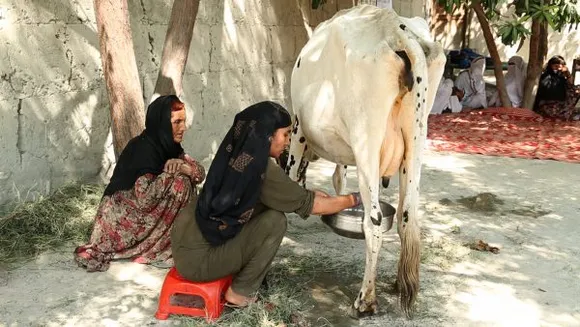 Bhilwara Woman's Dairy Venture brings in New Milk Revolution