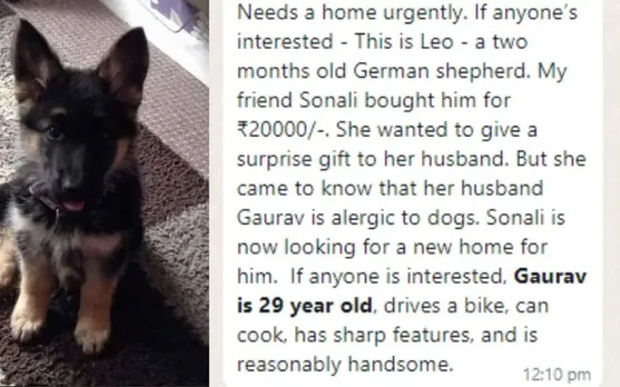 Woman Not Willing To Give Away Dog, Puts Husband Up For Adoption