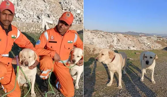 How India's NDRF Dog Squad Helped Rescue A Girl In Earthquake Hit Turkey