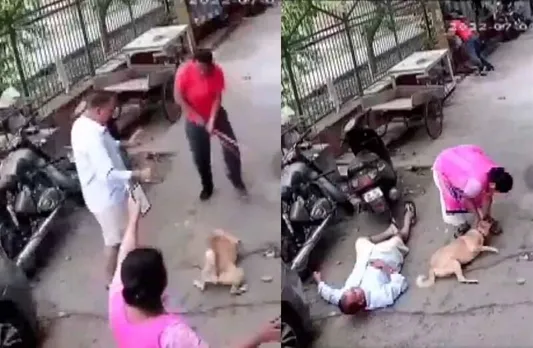 Delhi Man Ruthlessly Beats Dog With Iron Rod: Why Is Animal Cruelty So Common In India?