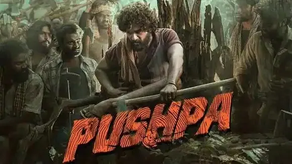 Where To Watch Allu Arjun and Rashmika Mandanna Starrer Pushpa In Hindi