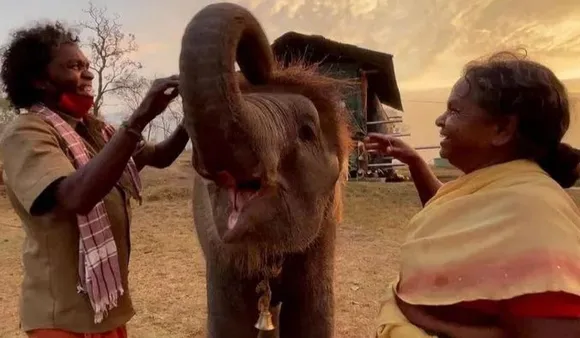 The Elephant Whisperers: Oscar-Winner Celebrates Bond Between Humans And Wildlife