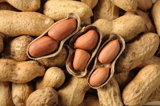 Why Peanut Is A Wonder Nut